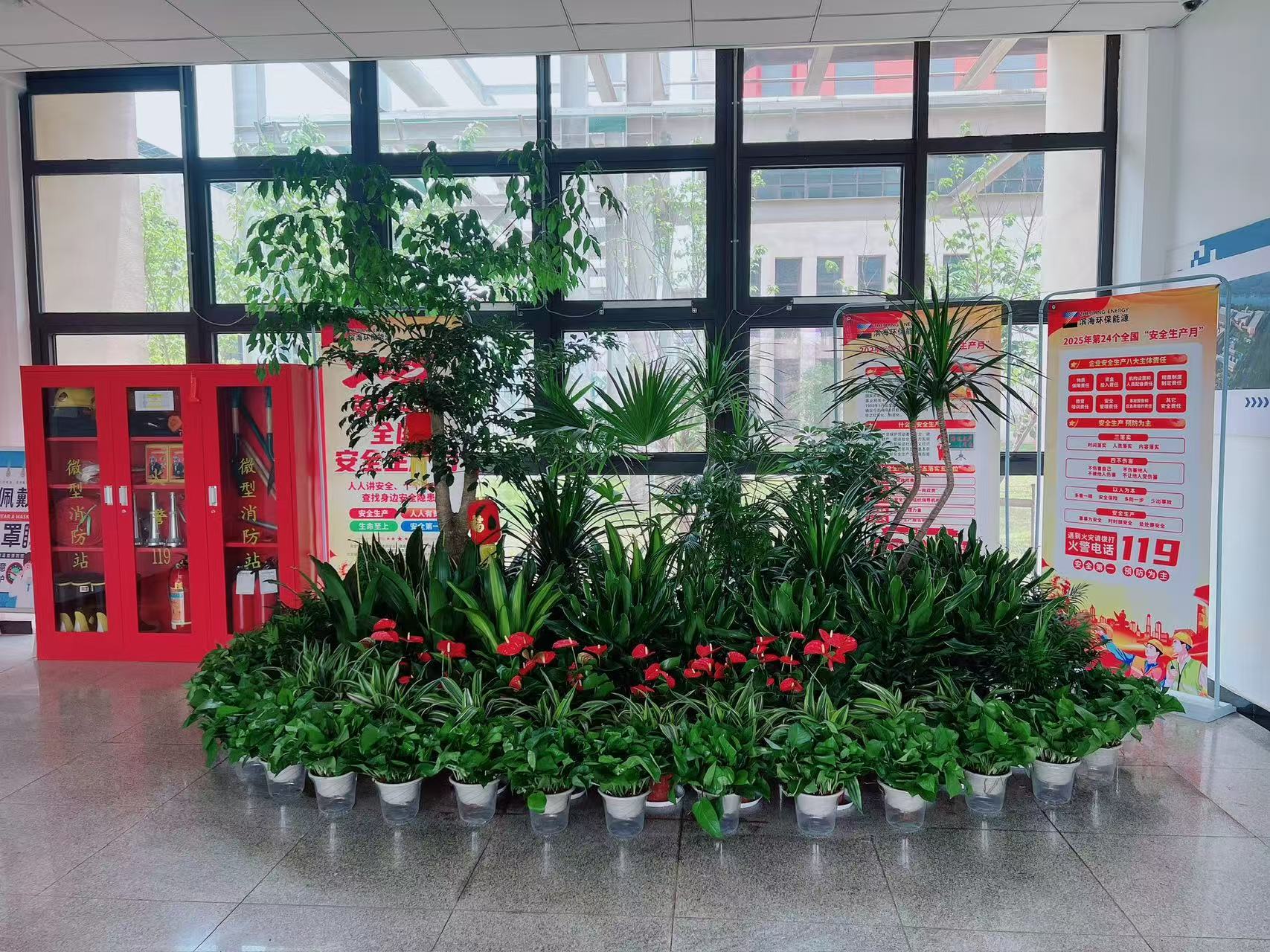 前湾绿植租赁哪家好亡